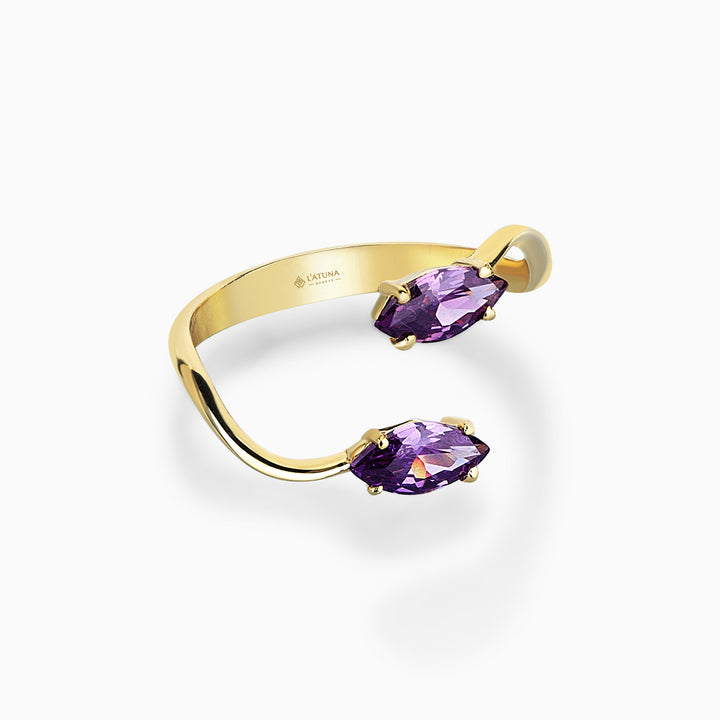 BRIZA MEDIA RING