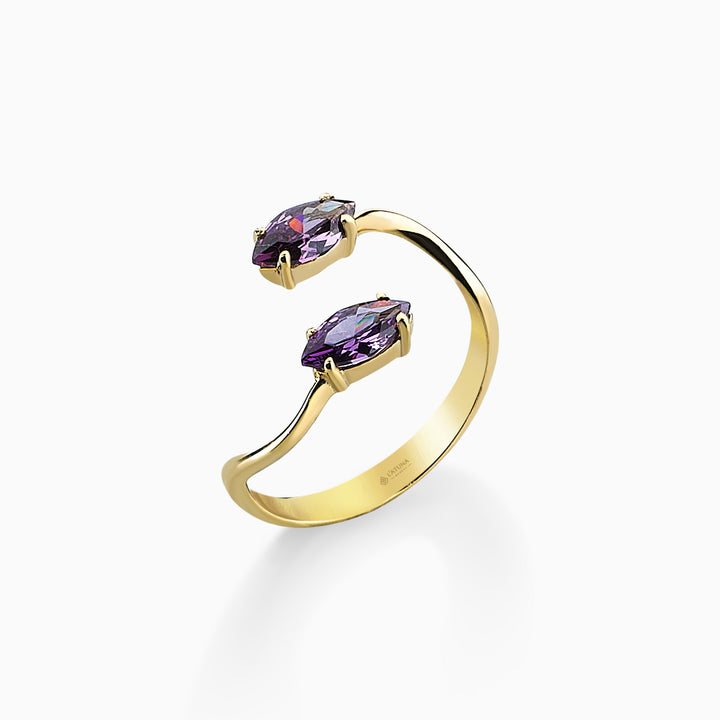 BRIZA MEDIA RING
